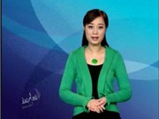 Bóng đá anh, ngoại hạng anh, lịch thi đấu euro 2012, Bản tin Văn hóa toàn cảnh ngày 21/2/2012